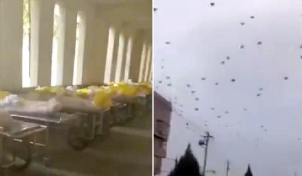 Ngeri Ribuan Gagak Terbang Di Atas Jenazah Korban Virus Coro