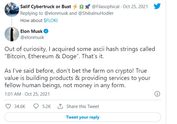 musk2.jpg