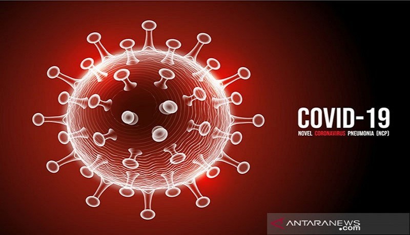 Ilustrasi covid-19. Foto: Antara Ilustrasi covid-19. Foto: Antara