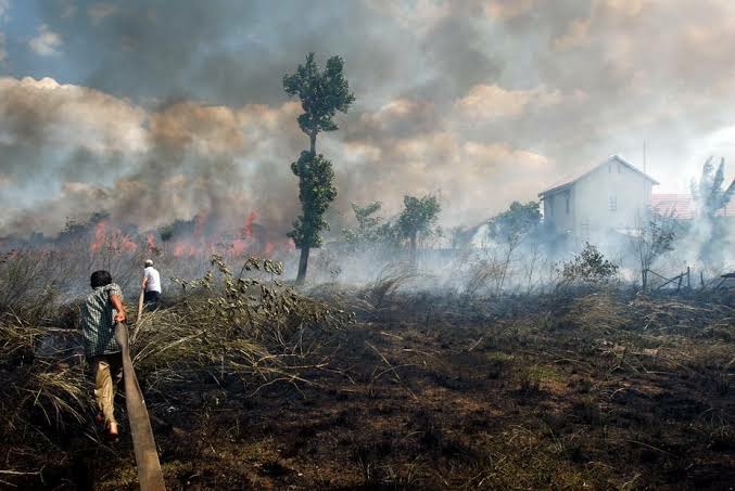 Indonesia dituding sebagai penyebab kabut asap yang melanda Malaysia hingga negarai itu terpaksa meliburkan ratusak sekalohanya. (Foto: The Conversation) Indonesia dituding sebagai penyebab kabut asap yang melanda Malaysia hingga negarai itu terpaksa meliburkan ratusak sekalohanya. (Foto: The Conversation)