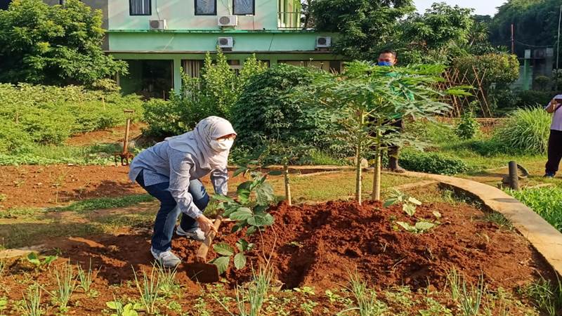 Destinasi agrowisata edukasi segera hadir di Jaksel (foto: GenPI.co) Destinasi agrowisata edukasi segera hadir di Jaksel (foto: GenPI.co)