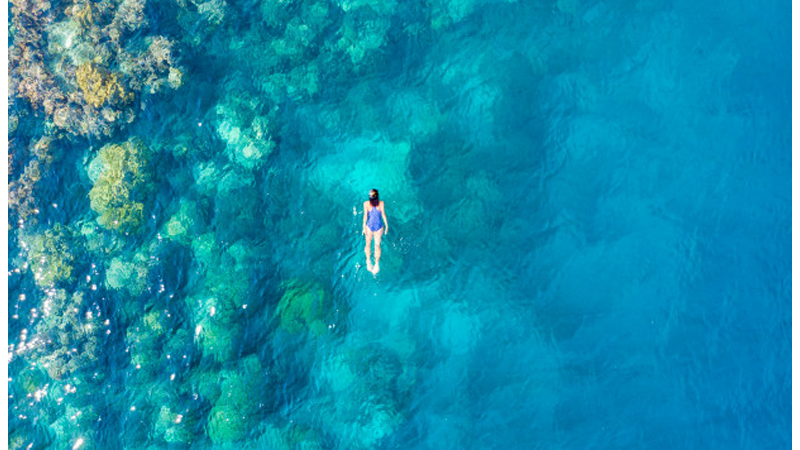 Pesona Wakatobi (foto: Freepik) Pesona Wakatobi (foto: Freepik)