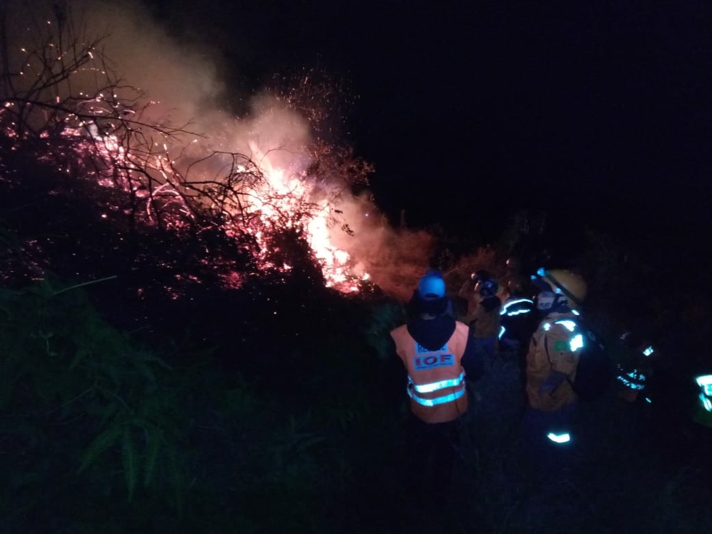 Kebakaran di lereng Gunung Sumbing berhasil ditanggulangi (Foto : Bowo Prau) Kebakaran di lereng Gunung Sumbing berhasil ditanggulangi (Foto : Bowo Prau)