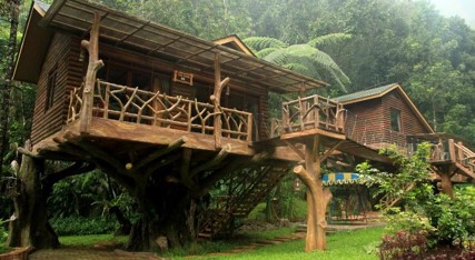rumah pohon di Taman Safari Lodge.(Foto: Dok. Agoda) rumah pohon di Taman Safari Lodge.(Foto: Dok. Agoda)