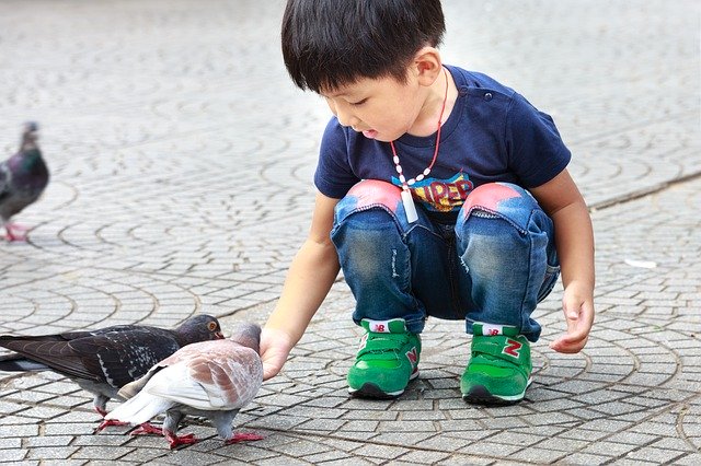 Ilustrasi anak (Foto: Pixabay) Ilustrasi anak (Foto: Pixabay)