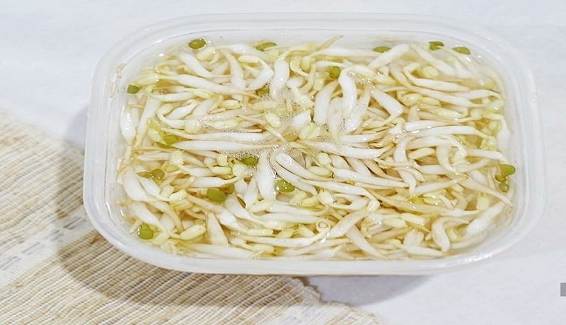 Sayuran taoge. Foto: Pixabay Sayuran taoge. Foto: Pixabay