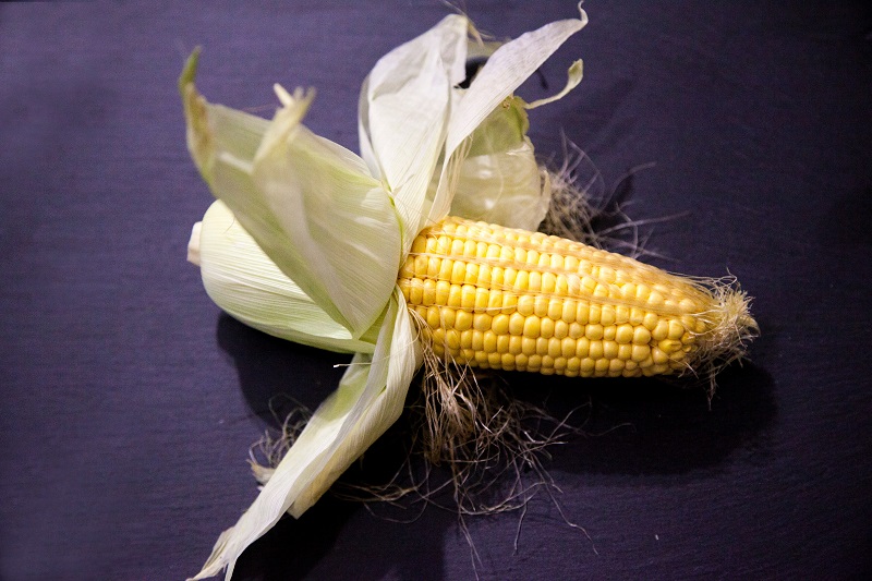 Ilustrasi: rambut jagung yang bisa untuk kesehatan ( sumber : shutterstock) Ilustrasi: rambut jagung yang bisa untuk kesehatan ( sumber : shutterstock)