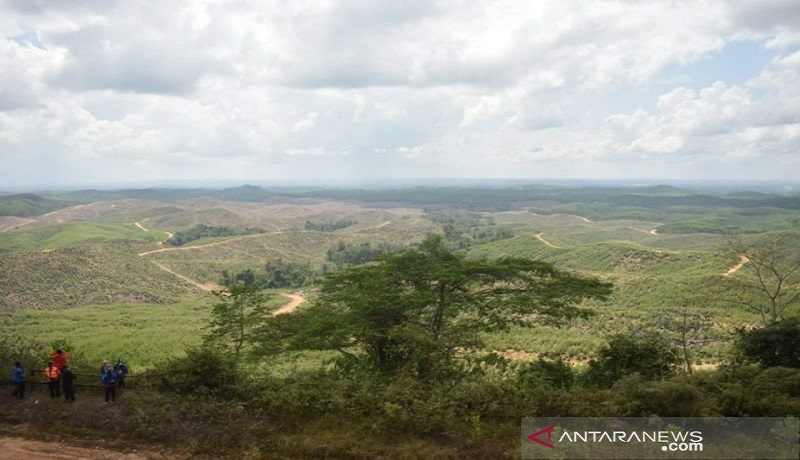Lokasi Ibu Kota Negara Indonesia yang baru di Kalimanta Timur. FOTO: Antara Lokasi Ibu Kota Negara Indonesia yang baru di Kalimanta Timur. FOTO: Antara