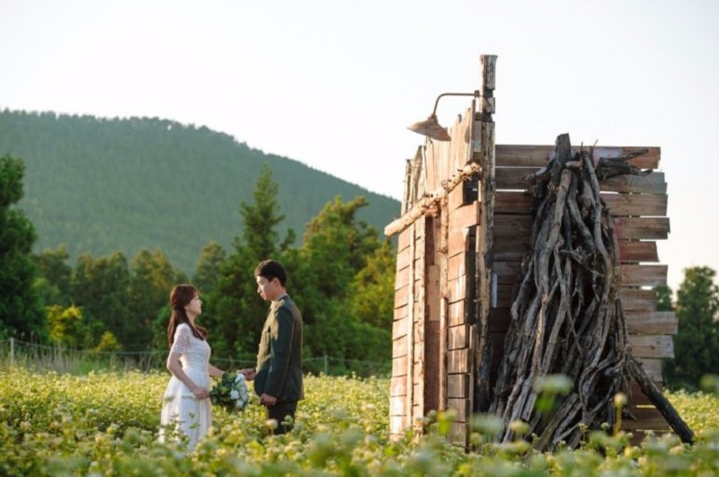 Borinara Hagwon Farm (Foto : onethreeonefour) Borinara Hagwon Farm (Foto : onethreeonefour)