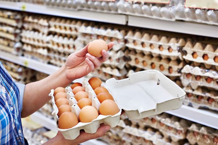 Kandang telur baterai munculnya potensi pandemi baru. Foto: PR Equitas Kandang telur baterai munculnya potensi pandemi baru. Foto: PR Equitas