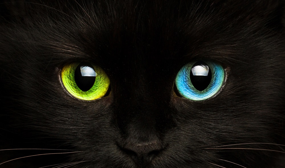 Ilustrasi. (Foto: Elements Envato) Ilustrasi. (Foto: Elements Envato)