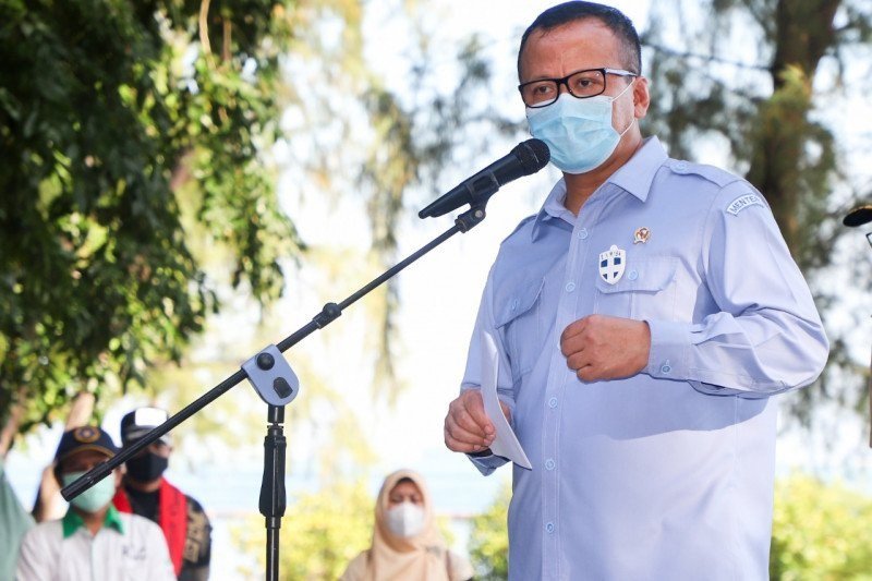 Menteri Kelautan dan Perikanan Edhy Prabowo. (Foto: Antara/HO-KKP) Menteri Kelautan dan Perikanan Edhy Prabowo. (Foto: Antara/HO-KKP)