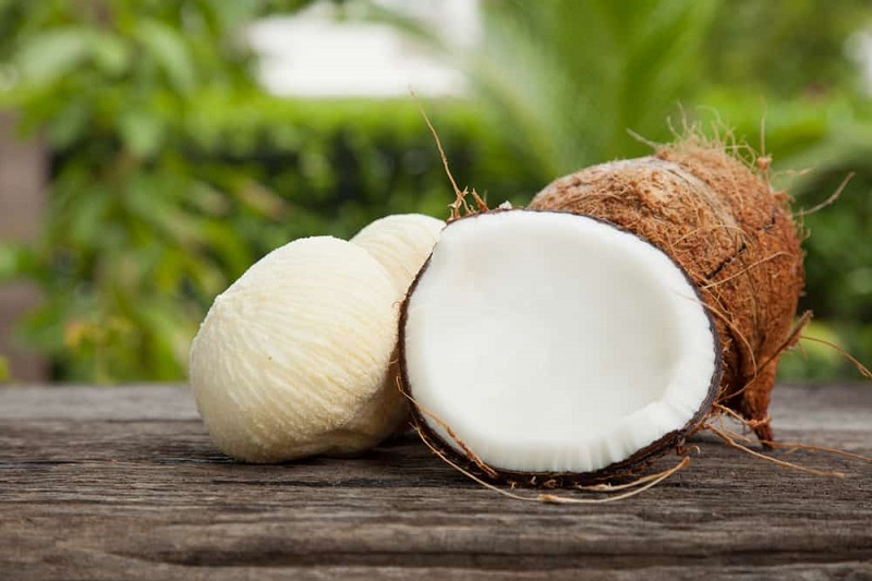 Kentos Kelapa menyimpan segudang khasiat bagi kesehatan ( foto: shutterstock) Kentos Kelapa menyimpan segudang khasiat bagi kesehatan ( foto: shutterstock)