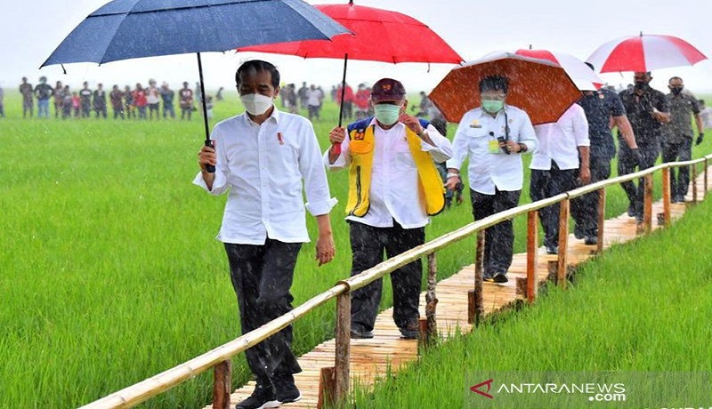 Presiden Jokowi saat kunjungan ke Maumere, NTT. FOTO: Antara Presiden Jokowi saat kunjungan ke Maumere, NTT. FOTO: Antara
