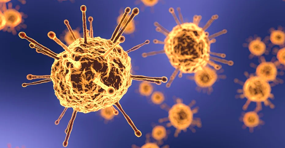 Ilustrasi-Virus Covid-19. Foto: Pixabay. Ilustrasi-Virus Covid-19. Foto: Pixabay.