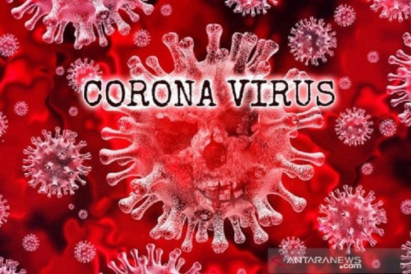 Ilustrasi-Virus corona. Foto: ANTARA/Shutterstock/am. Ilustrasi-Virus corona. Foto: ANTARA/Shutterstock/am.