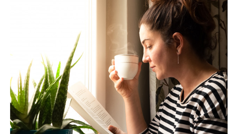 Tanaman lidah buaya bikin aktivitas dalam rumah makin menyenangkan (foto: Freepik) Tanaman lidah buaya bikin aktivitas dalam rumah makin menyenangkan (foto: Freepik)