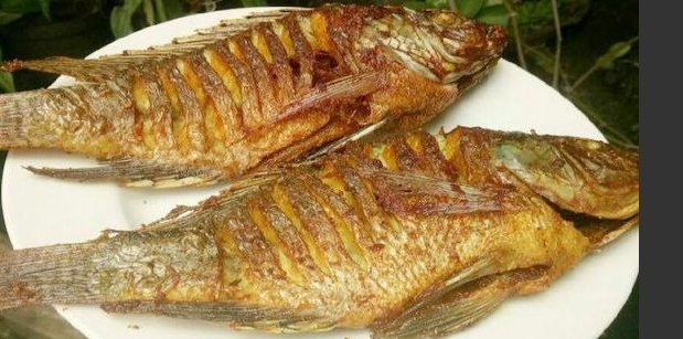 Ikan nila goreng. (Cookpad/JPNN) Ikan nila goreng. (Cookpad/JPNN)