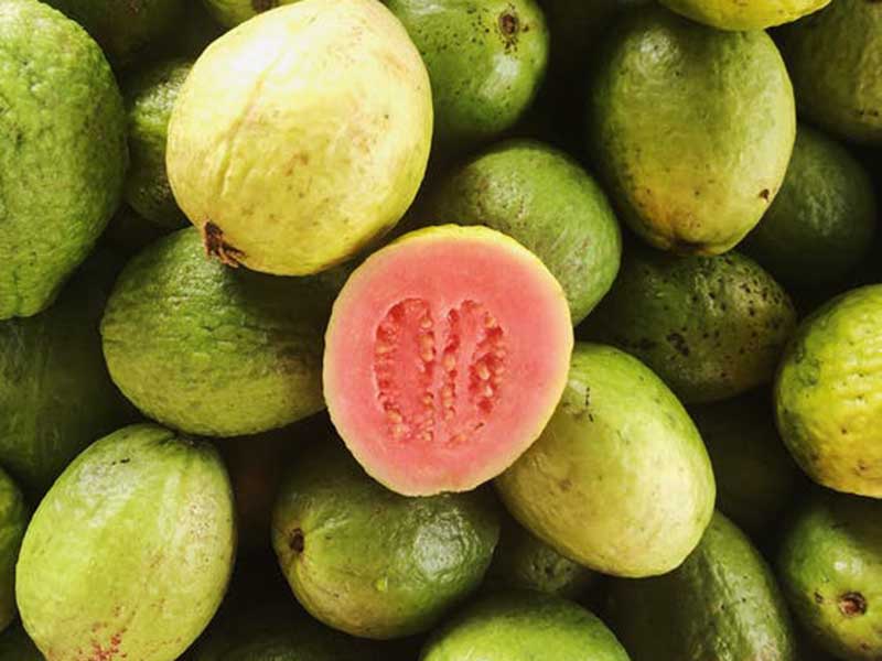 Jambu biji memiliki banyak manfaat untuk bayi. Foto: Pexels Jambu biji memiliki banyak manfaat untuk bayi. Foto: Pexels