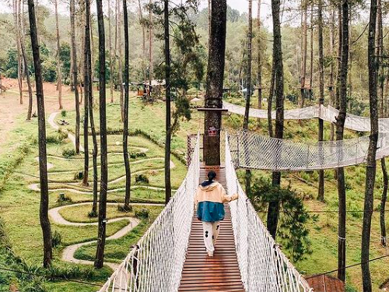 Orchid Forest Cikole. Foto: Instagram @orchidforestcikole Orchid Forest Cikole. Foto: Instagram @orchidforestcikole
