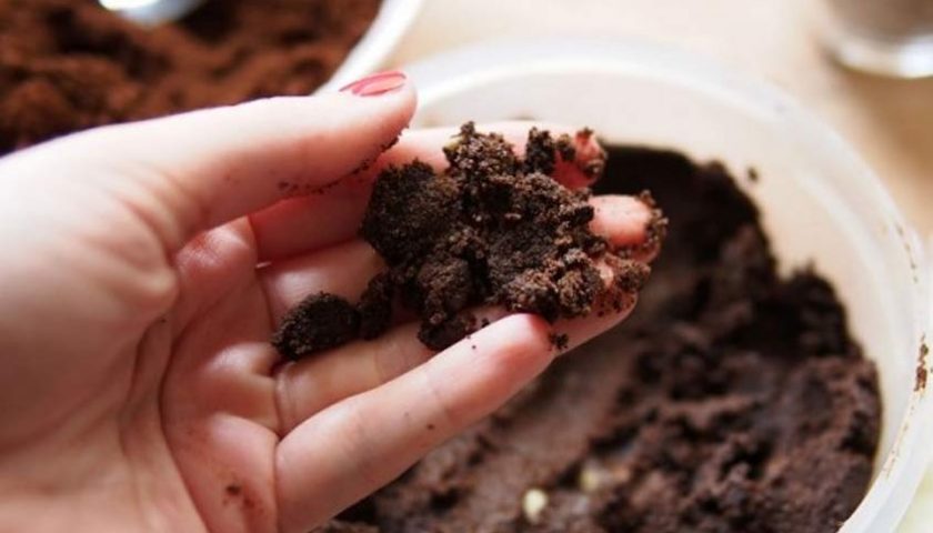 Manfaat Ampas Kopi Bikin Wanita Ketagihan - ilustrasi (Foto: pixabay) Manfaat Ampas Kopi Bikin Wanita Ketagihan - ilustrasi (Foto: pixabay)