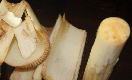 Khasiat Jus Batang Pohon Pisang Sangat Ajaib, Diabetes Rontok (Foto: Philnews.ph) Khasiat Jus Batang Pohon Pisang Sangat Ajaib, Diabetes Rontok (Foto: Philnews.ph)