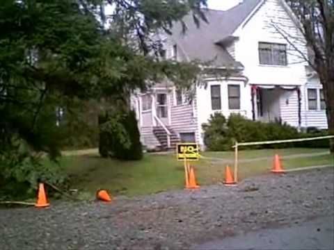 Rumah Bella Swan di Film Twilight. (ist) Rumah Bella Swan di Film Twilight. (ist)