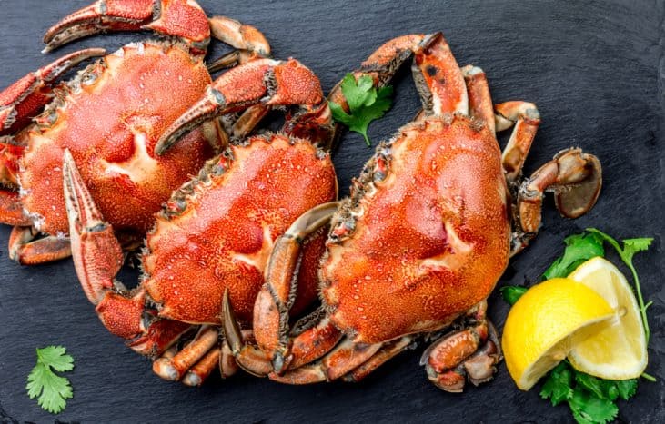 Kepiting. Foto: Shutterstock Kepiting. Foto: Shutterstock