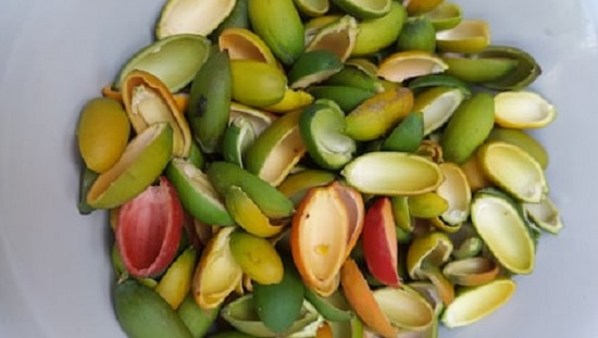 Makan Kulit Melinjo Ternyata Khasiatnya Bikin Asam Urat Ambrol (Foto: Shutterstock) Makan Kulit Melinjo Ternyata Khasiatnya Bikin Asam Urat Ambrol (Foto: Shutterstock)