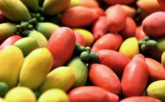 Manfaat Makan Melinjo Sangat Mengejutkan, Ajaib untuk Kesehatan (Foto: Shutterstock) Manfaat Makan Melinjo Sangat Mengejutkan, Ajaib untuk Kesehatan (Foto: Shutterstock)