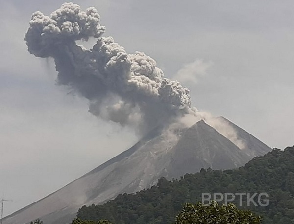 Letusan Gunung Merapi Pada Pukul 10.46 WIB, Minggu (17/11) (Foto: BPPTKG) Letusan Gunung Merapi Pada Pukul 10.46 WIB, Minggu (17/11) (Foto: BPPTKG)