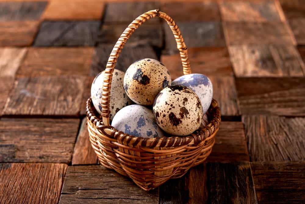 Telur puyuh. Foto: Shutterstock Telur puyuh. Foto: Shutterstock