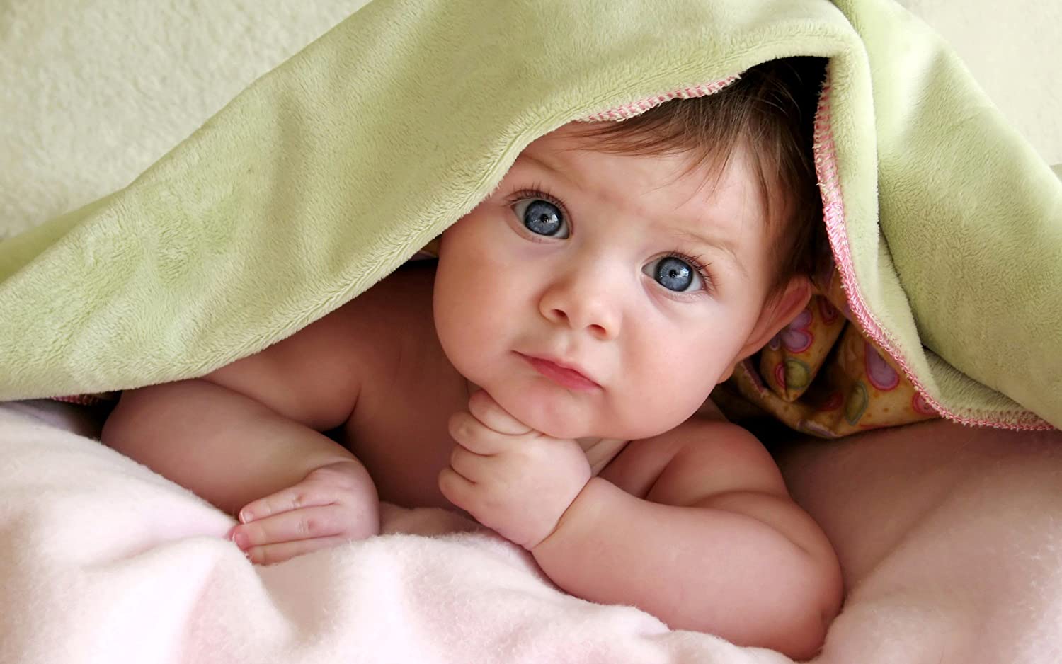 Foto: Shutterstock Foto: Shutterstock