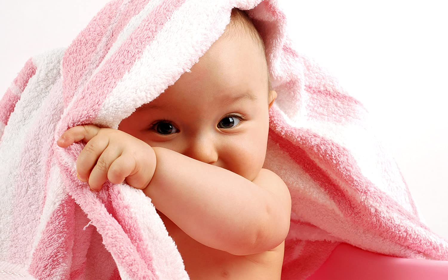 Foto: Shutterstock Foto: Shutterstock