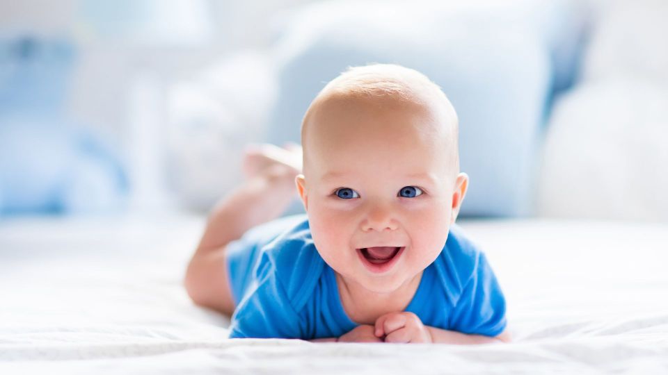 Foto: Shutterstock Foto: Shutterstock