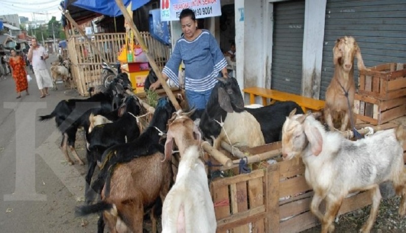 Liburan di Sumba, Andien Aisyah Kenalkan Alam Pada Sang Anak