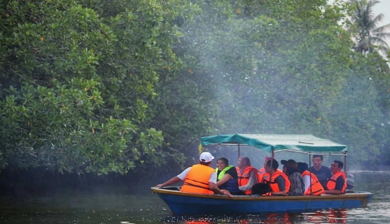 Mnyusuri Pengudang Bintan Mangrove di Bintan, Kepri. Foto: Leni Mnyusuri Pengudang Bintan Mangrove di Bintan, Kepri. Foto: Leni