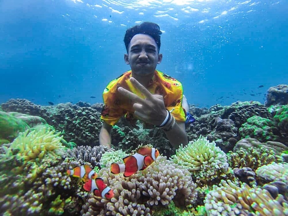 Keseruan menyelam bersama Nemo di Gili Ketapang. Keseruan menyelam bersama Nemo di Gili Ketapang.