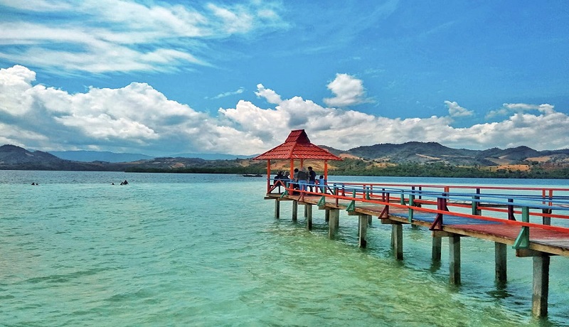 Pengelola Wisata Pantai Ratu Diduga Merusak Kawasan...