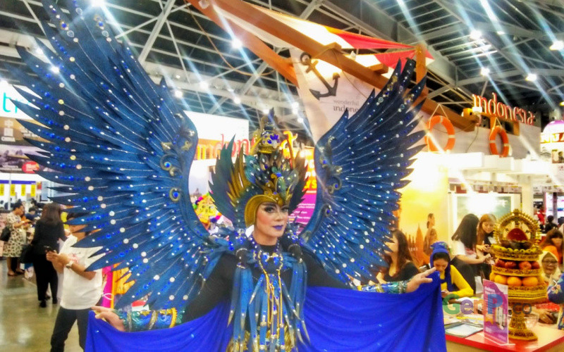 Cenderawasih Biru Percantik Indonesia Di Natas 2019
