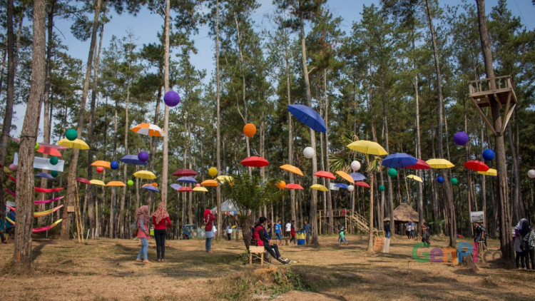 Kemit Forest, salah satu destinasi wajib saat mudik ke CIlacap. (Foto: wanarch) Kemit Forest, salah satu destinasi wajib saat mudik ke CIlacap. (Foto: wanarch)