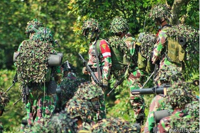 Ilustrasi - Prajurit TNI. Foto: Instagram @yonif315garuda Ilustrasi - Prajurit TNI. Foto: Instagram @yonif315garuda