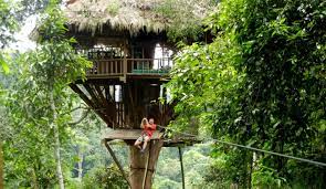 Wisata eco frinedly. Foto: Pinterest Wisata eco frinedly. Foto: Pinterest