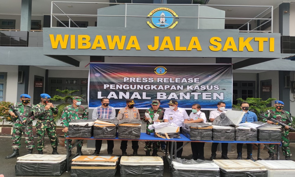 Pangkalan TNI Angkatan Laut (Lanal) Banten menggagalkan penyelundupan benih lobster. (Foto: Koarmada I) Pangkalan TNI Angkatan Laut (Lanal) Banten menggagalkan penyelundupan benih lobster. (Foto: Koarmada I)