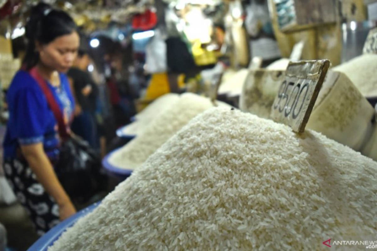 Beras yang dijual di pasar. (ANTARA FOTO/ADITYA PRADANA PUTRA) Beras yang dijual di pasar. (ANTARA FOTO/ADITYA PRADANA PUTRA)