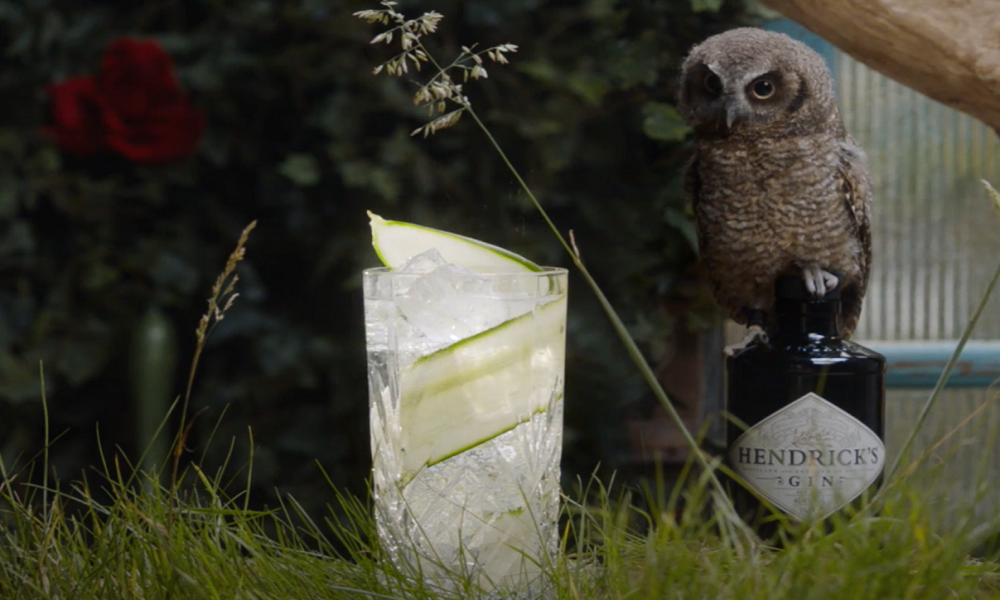 Ilustrasi minuman mentimun. (FOTO: Hendriks Gin) Ilustrasi minuman mentimun. (FOTO: Hendriks Gin)