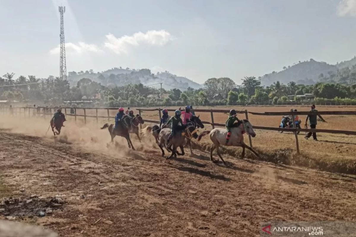 Para joki cilik dengan kuda pacuannya melaju kencang dalam sesi latihan di arena pacuan kuda Desa Panda, Bima, NTB, Minggu (13/6/2021). (FOTO: ANTARA/Dhimas B.P.) Para joki cilik dengan kuda pacuannya melaju kencang dalam sesi latihan di arena pacuan kuda Desa Panda, Bima, NTB, Minggu (13/6/2021). (FOTO: ANTARA/Dhimas B.P.)