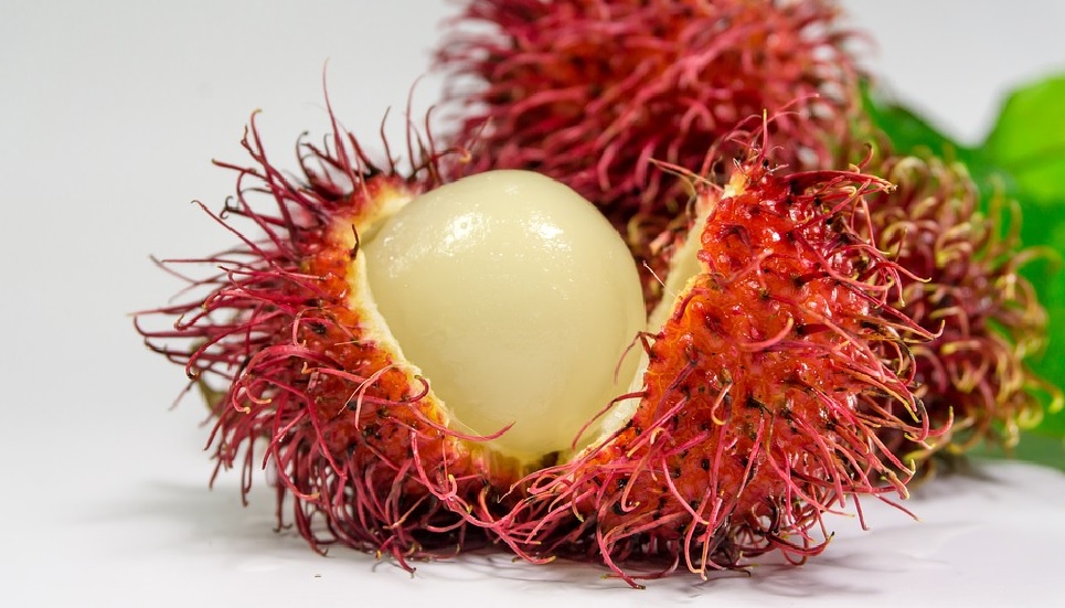 7 Khasiat Minum Jus Rambutan, Bisa Bikin Istri Kewalahan (Foto: Pixabay) 7 Khasiat Minum Jus Rambutan, Bisa Bikin Istri Kewalahan (Foto: Pixabay)
