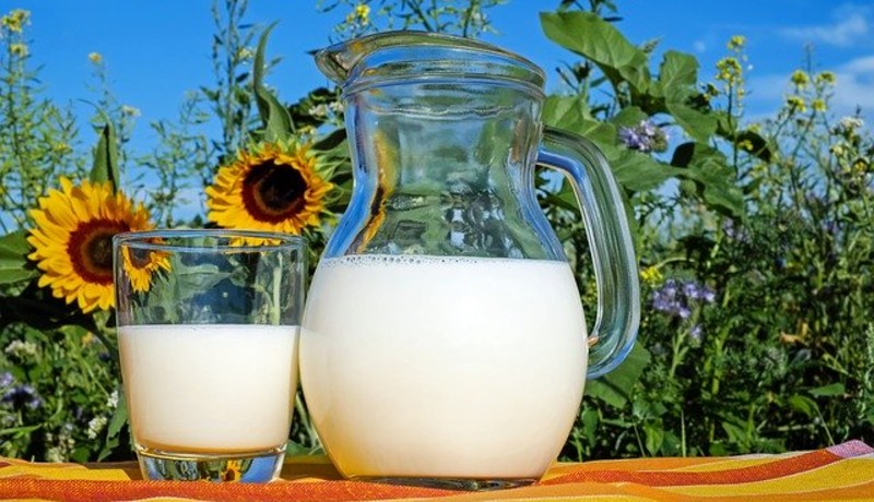 Ilustrasi: susu (foto: pixabay) Ilustrasi: susu (foto: pixabay)