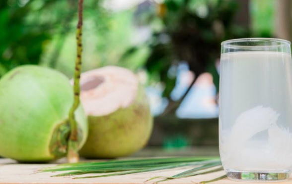 Minum Air Kelapa Hijau Campur Madu Khasiatnya Mencengangkan